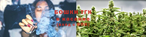 бошки Аркадак