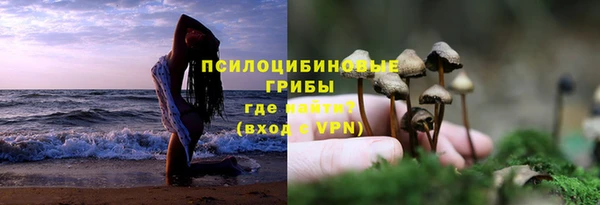 прущий лед Армянск