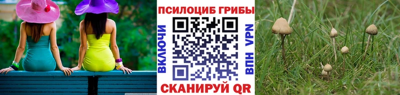 сайты даркнета состав  Комсомольск  Псилоцибиновые грибы Magic Shrooms  купить  
